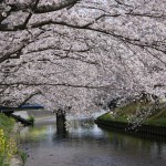 小川黒石川沿い