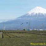 岩本山